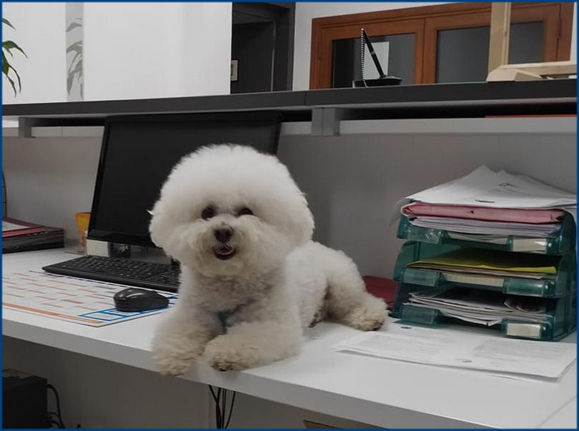 Mon premier soutient